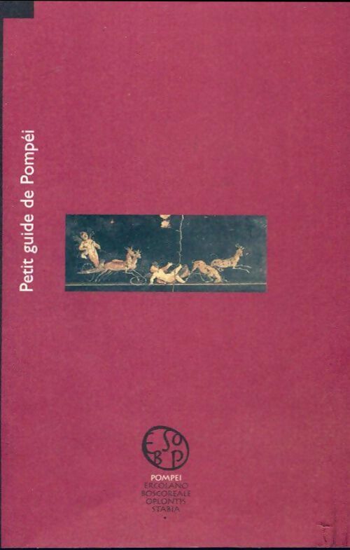 Petit guide de Pompéi - Collectif - Livre