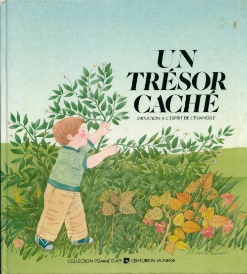 Un trésor caché - Joëlle Chabert - Livre