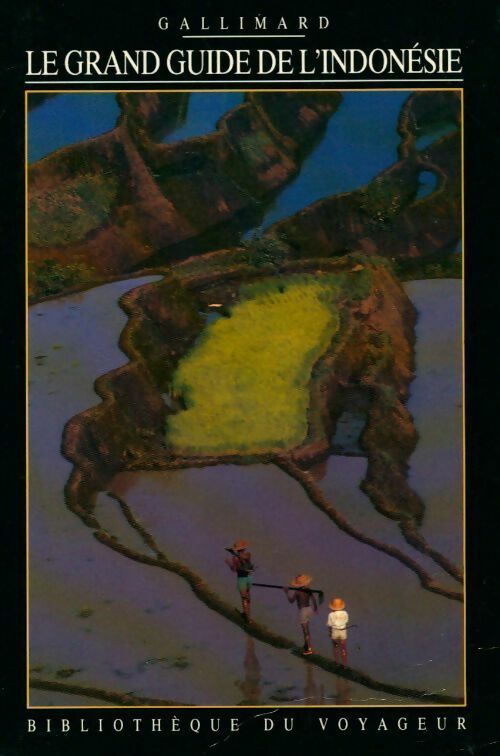 Le grand guide de l'Indonésie - Collectif - Livre