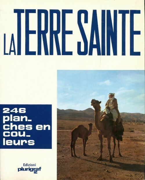 La Terre Sainte - Prof. Luigi Lombardi - Livre