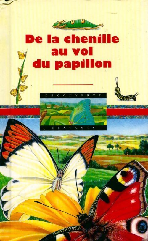 De la chenille au vol du papillon - Jean-Pierre Reymond - Livre