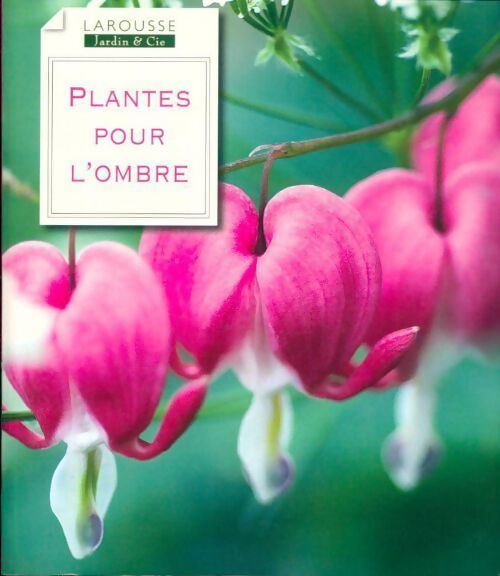 Plantes pour l'ombre - Collectif - Livre