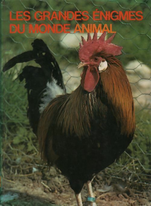 Les animaux domestiques Tome III - Yves Verbeek - Livre