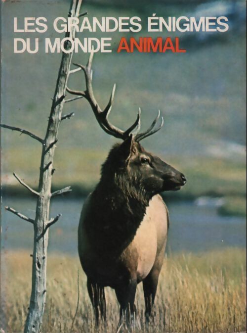Mammifères sauvages Tome IV : Herbivores des régions tempérées et mammifères curieux - Yves Verbeek - Livre