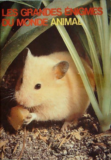 Les animaux familiers - Yves Verbeek - Livre