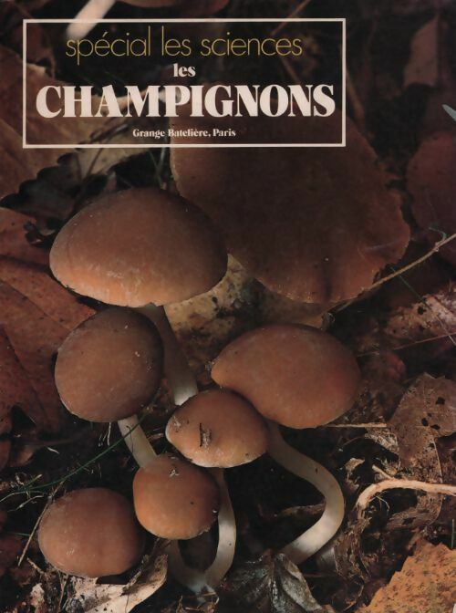 Les champignons - Uberto Tosco - Livre