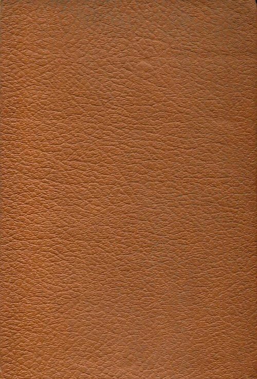 La princesse de Clèves / La princesse de Montpensier - Mme De Lafayette - Livre
