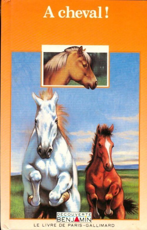 A cheval ! - Collectif - Livre