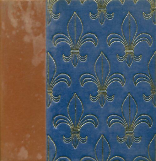 Histoire de France Tome XIII - Jules Michelet - Livre