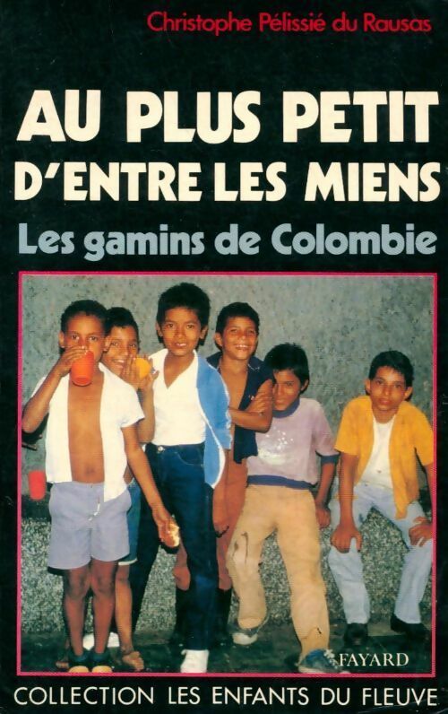 Au plus petit d'entre les miens - Christophe Pelissié Du Rausas - Livre