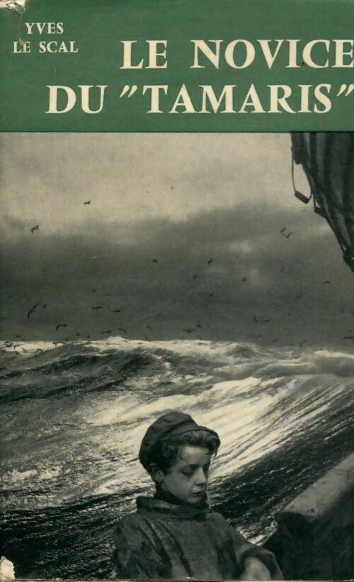 Le novice du Tamaris - Yves Le Scal - Livre