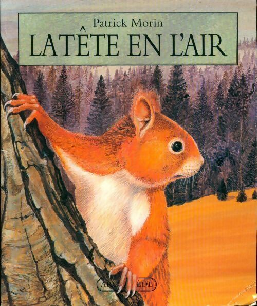 La tête en l'air - Patrick Morin - Livre