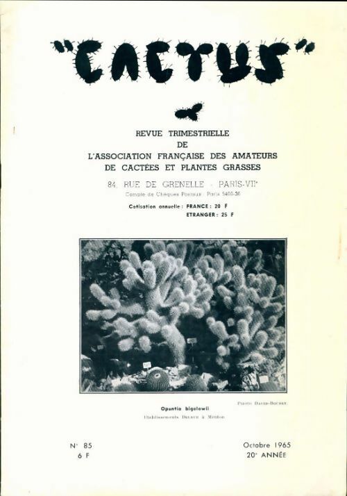 Cactus n°85 - Collectif - Livre