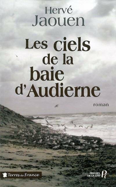 Les ciels de la baie d'Audierne - Hervé Jaouen - Livre
