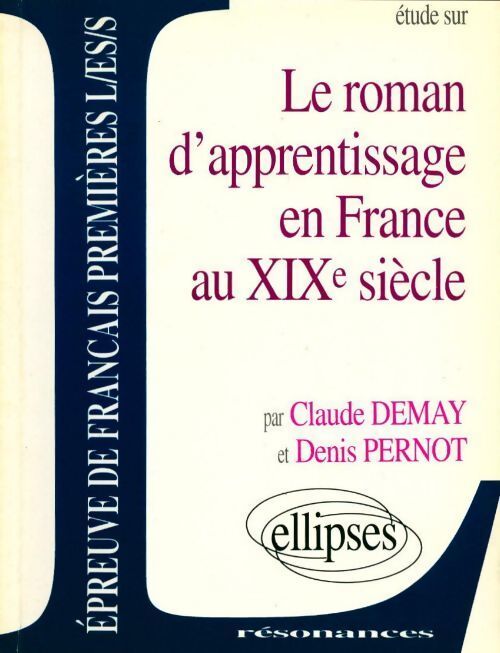 Le roman d'apprentissage en France au XIXe siècle - Claude Demay, Denis Pernot - Livre