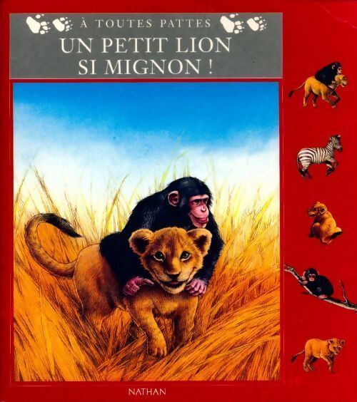Un petit lion si mignon ! - Claude Clément - Livre