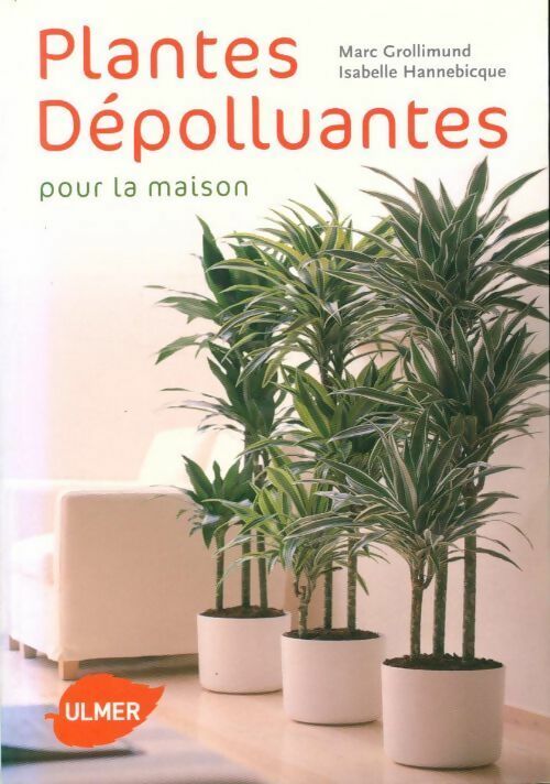 Plantes dépolluantes pour la maison - Marc Grollimund, Isabelle Hannebicque - Livre