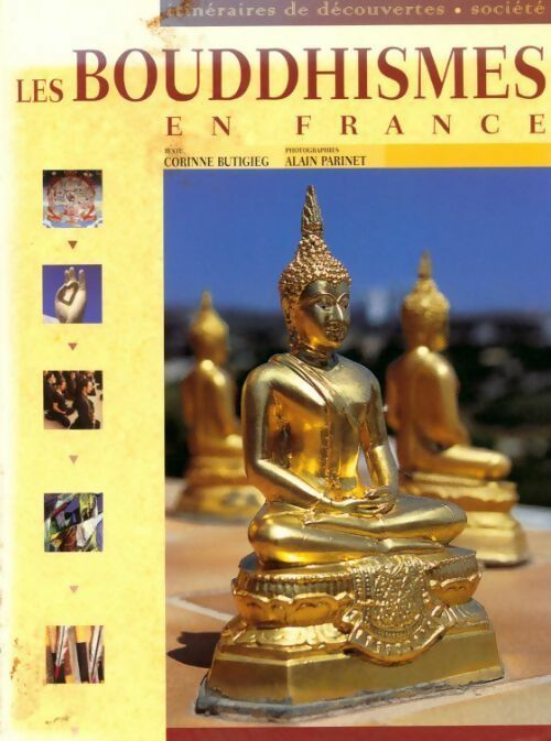 Les bouddhismes en France - Corinne Butigieg - Livre