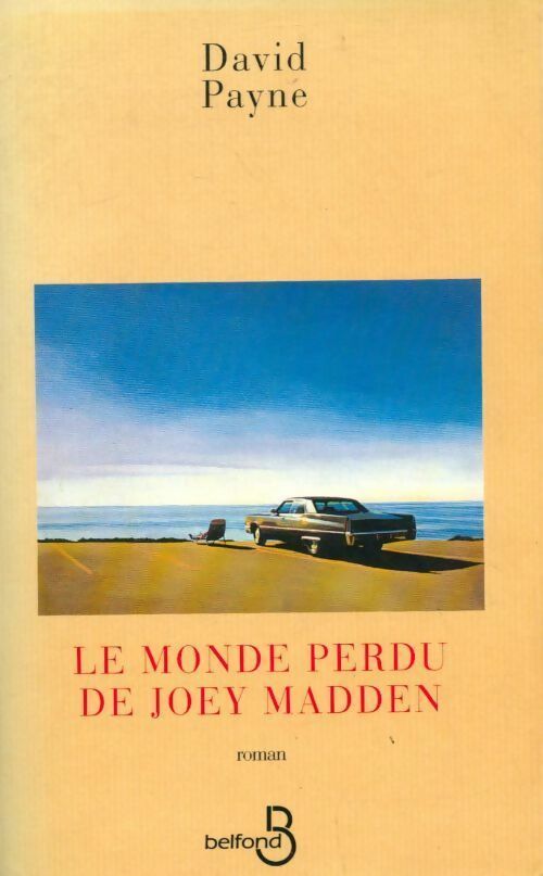 Le monde perdu de Joey Madden - Payne David - Livre