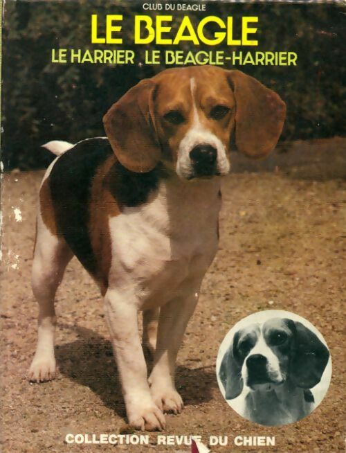 Le beagle, le harrier, le beagle-harrier - Collectif - Livre
