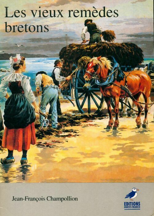 Les vieux remèdes breton - Champollion - Livre