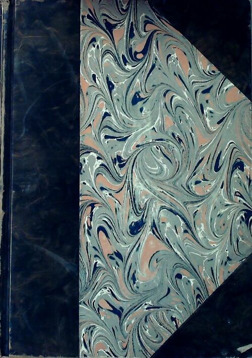 Histoire des beaux-arts Tome I - Paul Rouaix - Livre