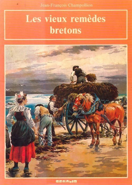 Les vieux remèdes breton - Champollion - Livre