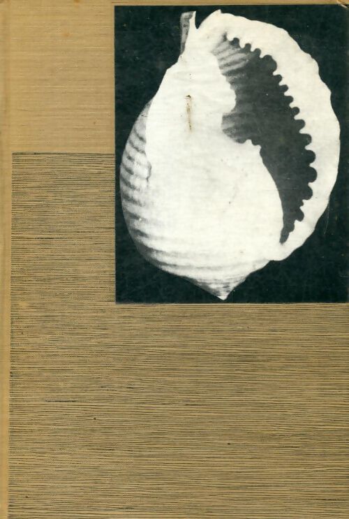Solitude face à la mer - Anne Lindbergh - Livre