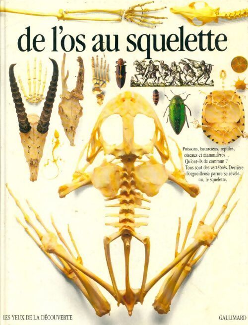 De l'os au squelette - Steve Parker - Livre