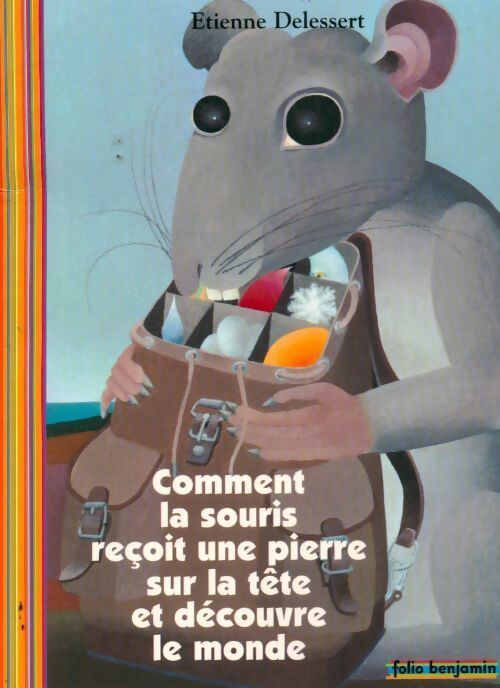 Comment la souris reçoit une pierre sur la tête et découvre le monde - Etienne Delessert - Livre