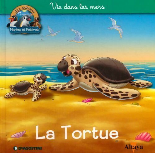 La tortue - Collectif - Livre