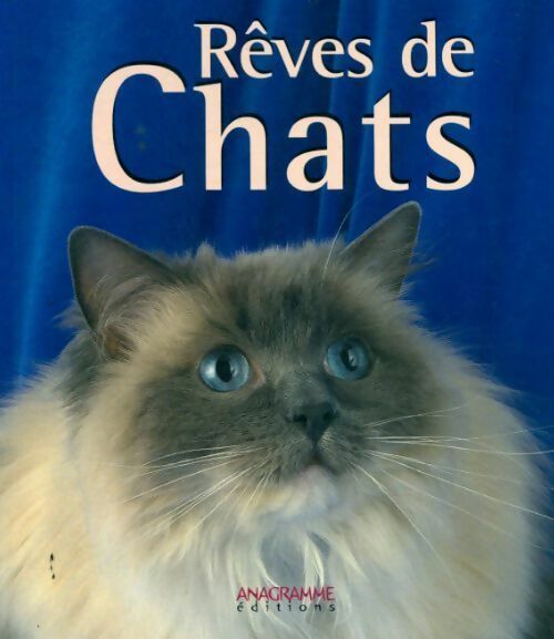 Rêves de chats - Collectif - Livre