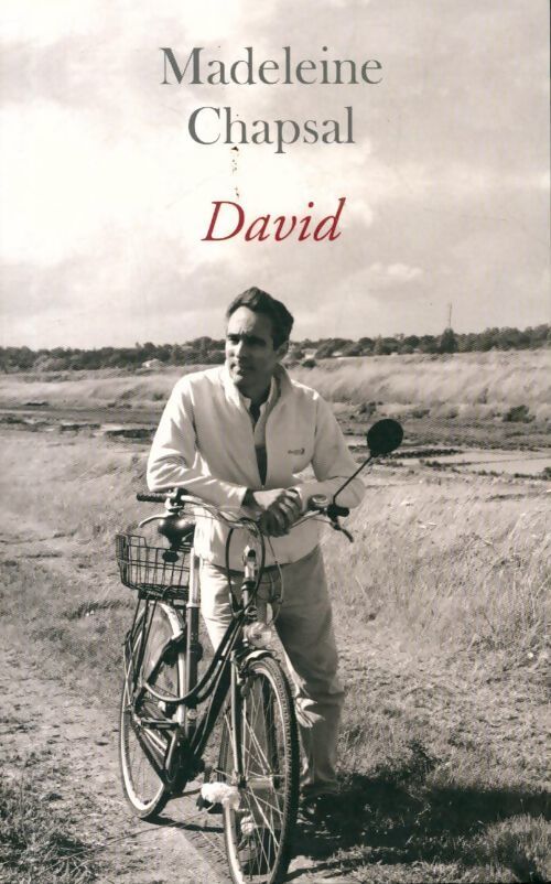 David - Madeleine Chapsal - Livre