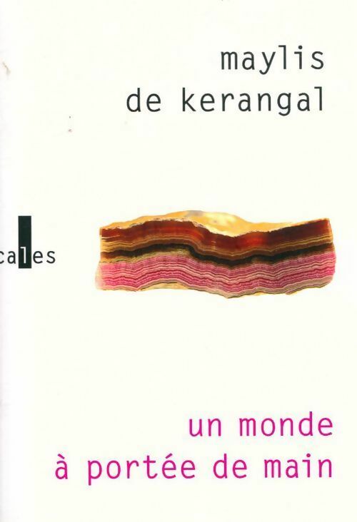 Un monde à portée de main - Maylis De Kerangal - Livre