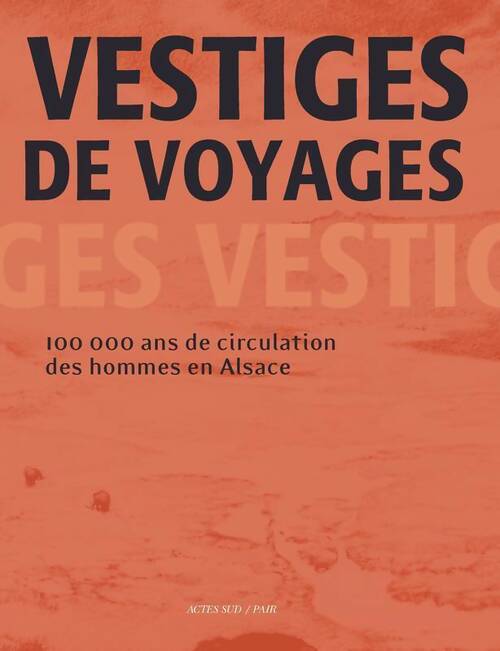 Vestiges de voyages. 100 000 ans de circulation des hommes en Alsace - Fabien Delrieu - Livre