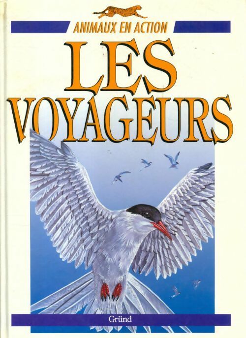 Les voyageurs - Jenny Wood - Livre