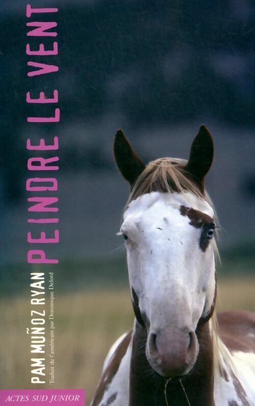 Peindre le vent - Ryan Pam Munoz - Livre