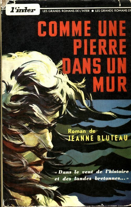 Comme une pierre dans un mur - Jeanne Bluteau - Livre