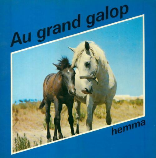 Au grand galop - Inconnu - Livre