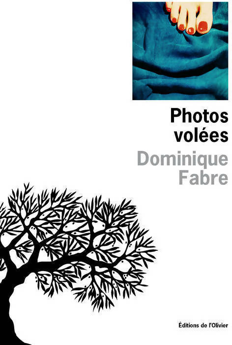 Photos volées - Dominique Fabre - Livre