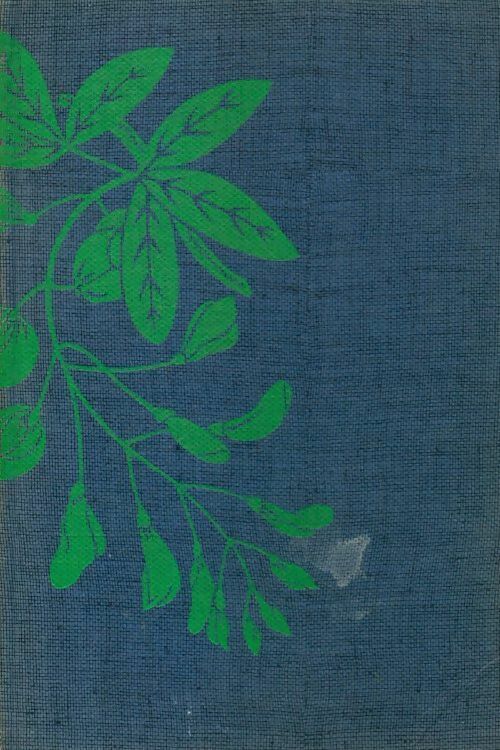 Dernier printemps - Joe Lederer - Livre