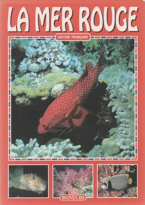 La mer rouge - Andrea Ghisotti - Livre