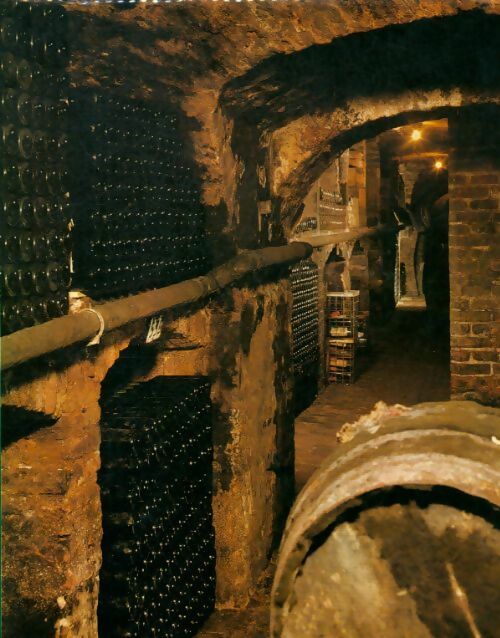 Les vins de France et d'ailleurs - André Schelling - Livre