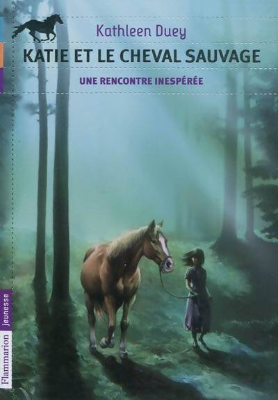 Katie et le cheval sauvage Tome I : Une rencontre inespérée - Kathleen Duey - Livre
