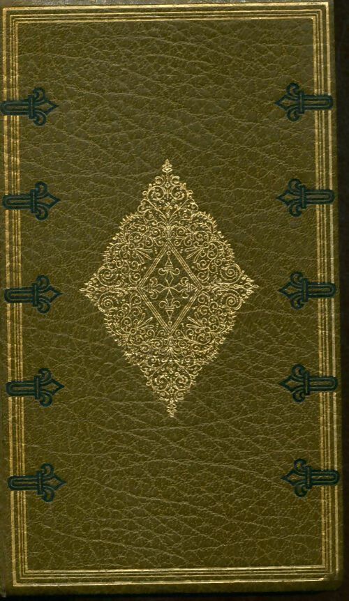 Le diable dans la peau - Paulette Houdyer - Livre