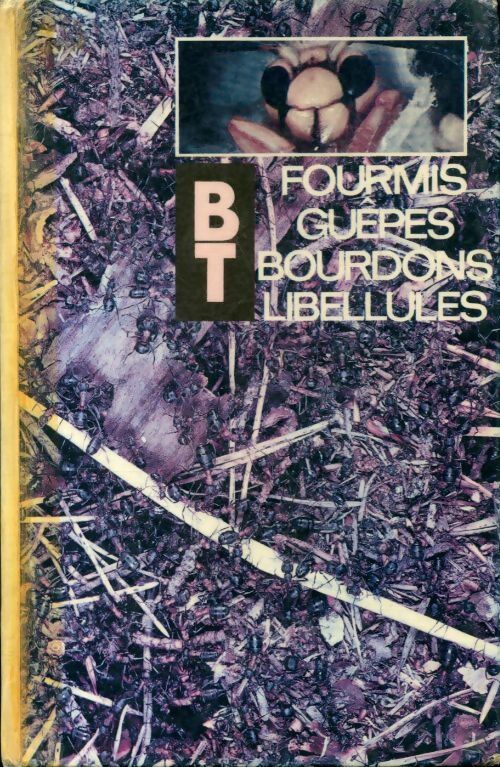 Fourmis, Guèpes, bourdons, libellules - Pierre Feve - Livre