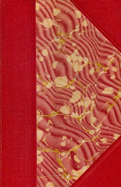Roger-la-Honte - Jules Mary - Livre