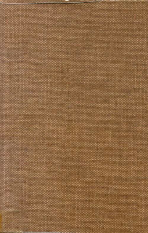 Sainte Angèle Merici et l'ordre des ursulines Tome II - Collectif - Livre