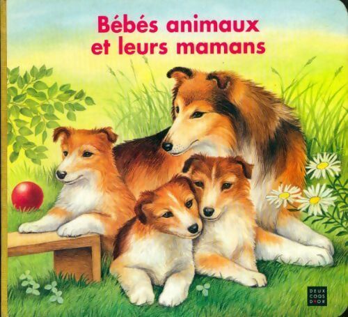 Bébés animaux et leurs mamans - Collectif - Livre