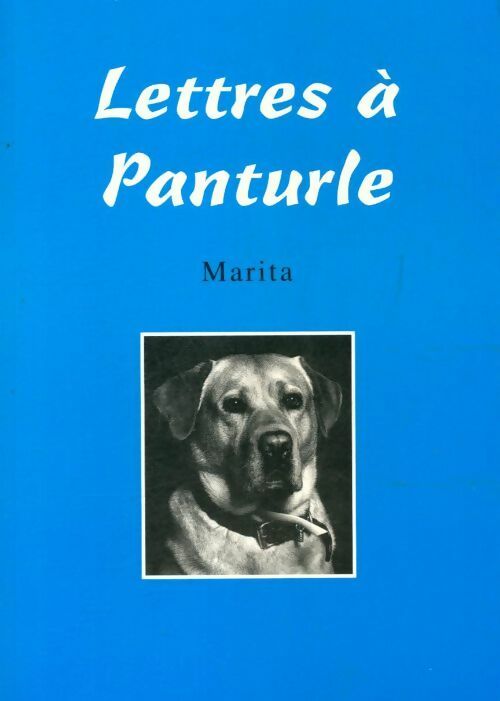 Lettres à Panturle - Marita - Livre